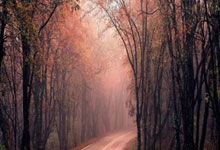 星空体育-Scout爆冷击败DWG，爆冷引爆全场！的简单介绍