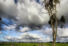 星空体育-Scout爆冷击败DWG，爆冷引爆全场！的简单介绍